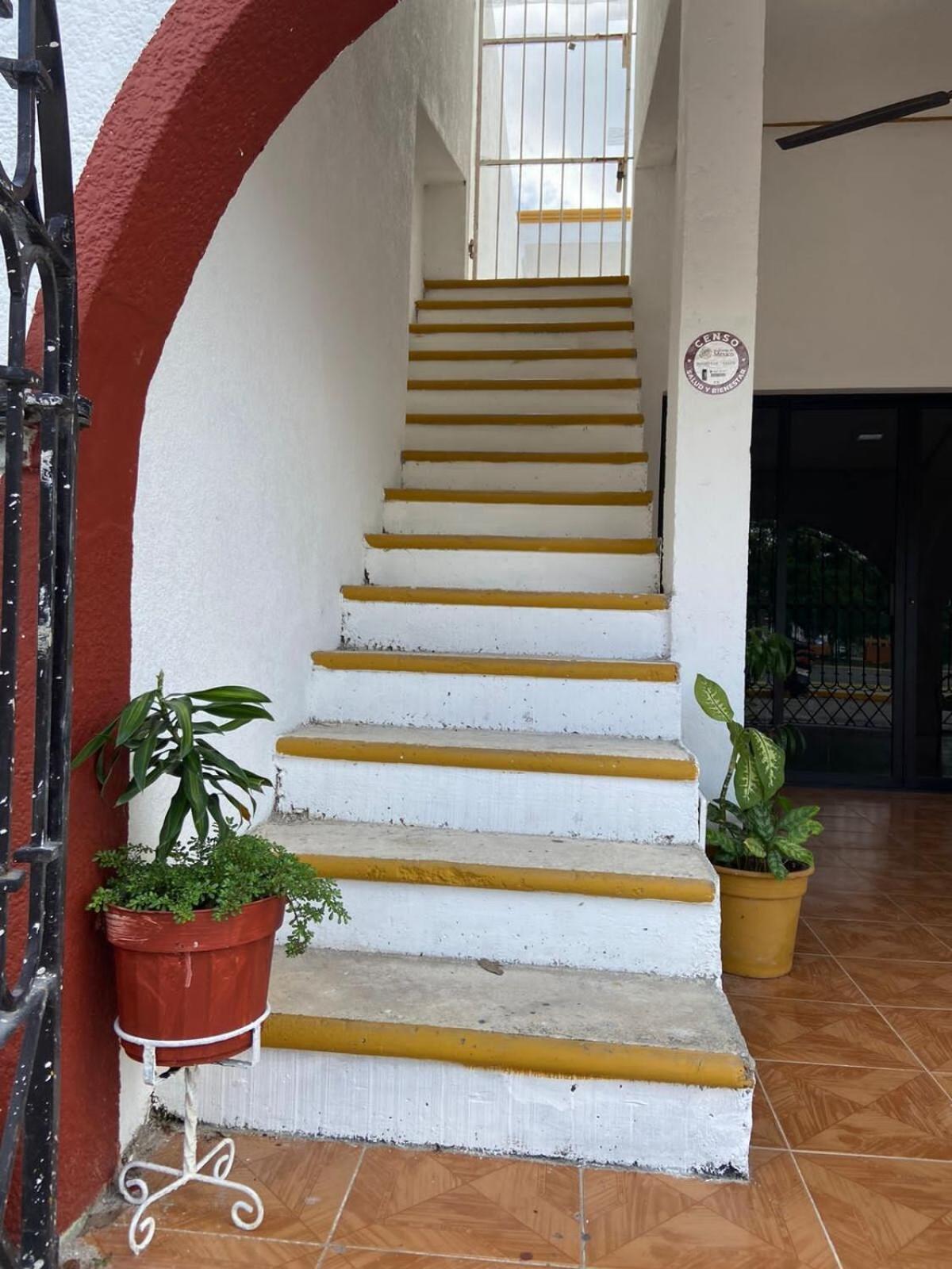 Apartment Casa Alamo En Cozumel